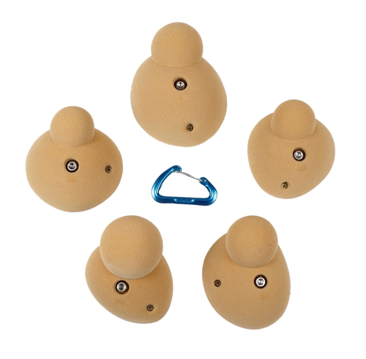 Picture of 5 XL Protons