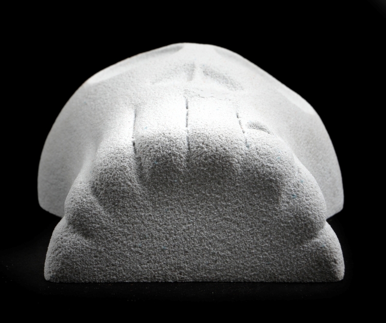 Picture of XL Skull