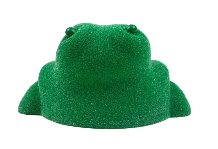 Picture of Large Tree Frog
