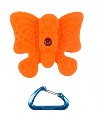 Picture of Butterfly