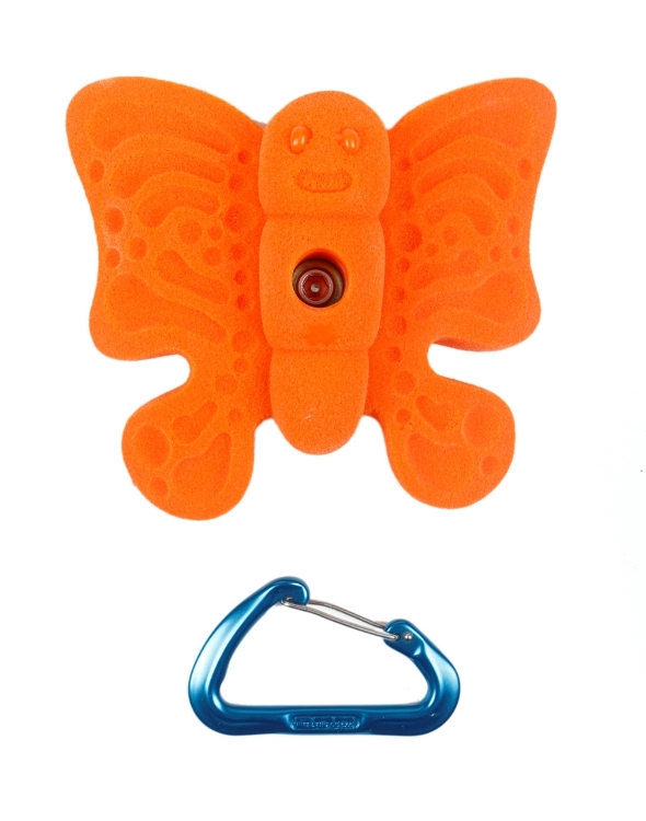 Picture of Butterfly