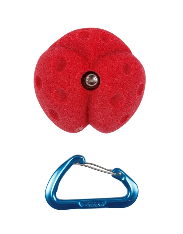 Picture of Medium Lady Bug