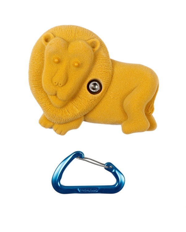 Picture of Lion