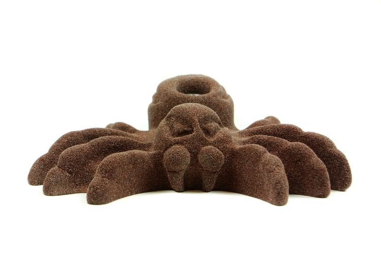 Picture of Large Spider