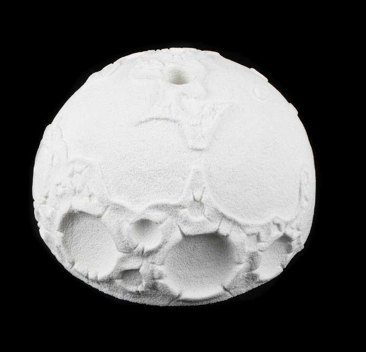 Picture of XXL Full Moon (Single)