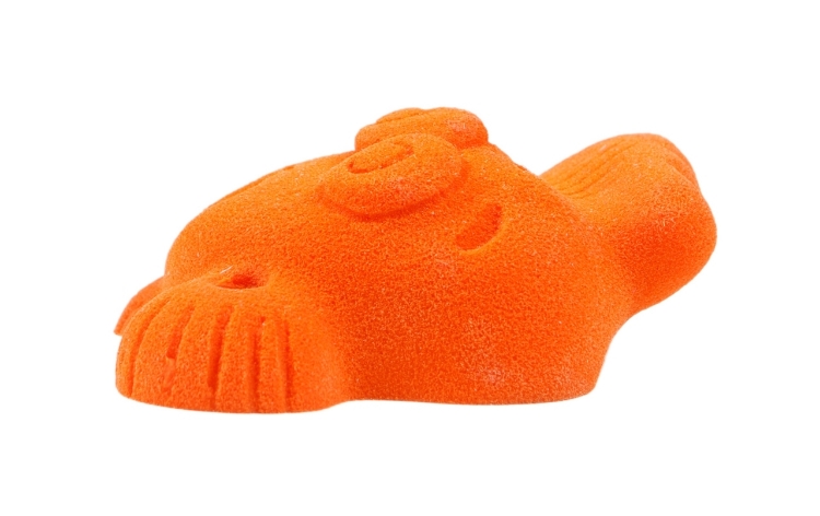 Picture of Large Clown Fish