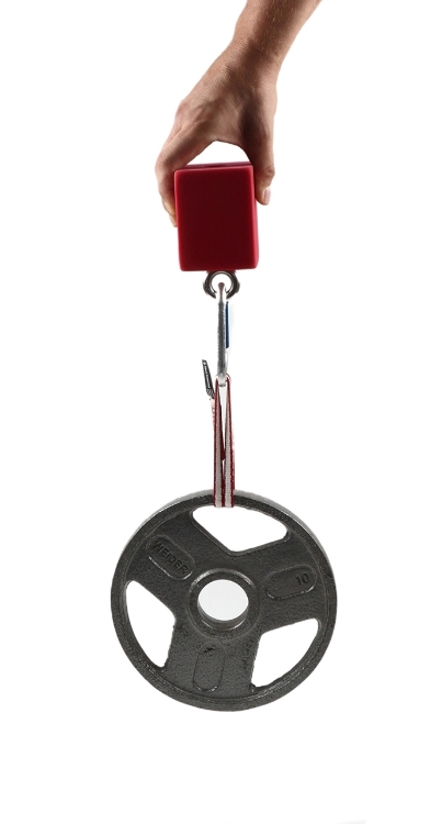 Picture of 3" Hanging Grip Training Blocks (Set of 2)