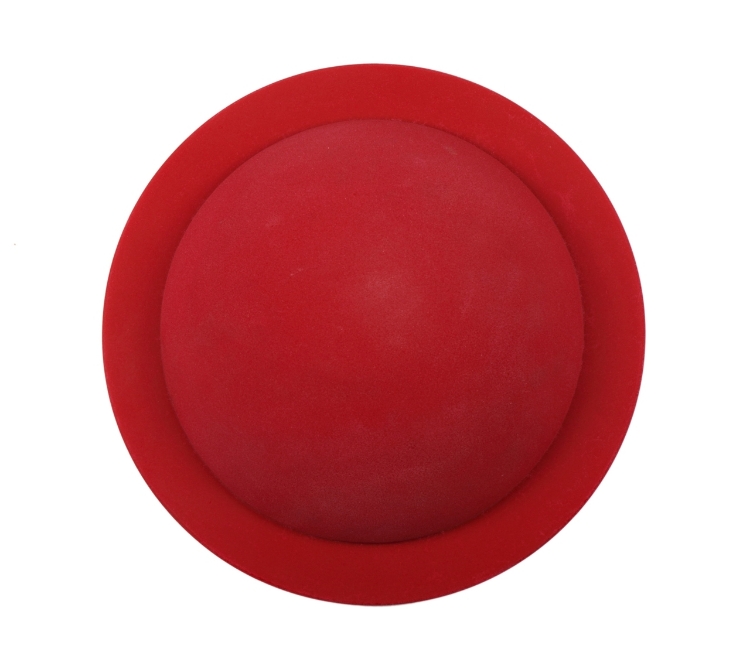Picture of Two-Footed Balance Trainer (Advanced Model)