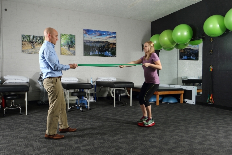 Picture of Two-Footed Balance Trainer (Beginner Model)
