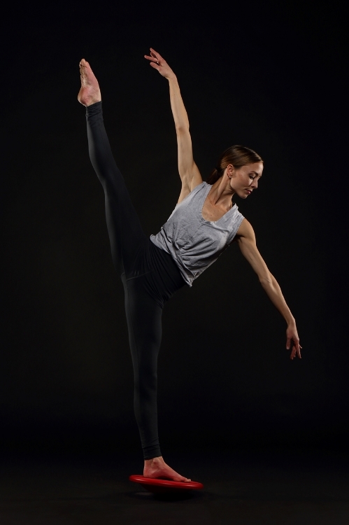 Picture of Two-Footed Balance Trainer (Advanced Model)