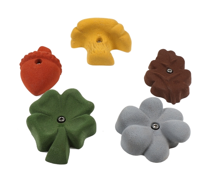 Picture of 5 Pack Garden Flora