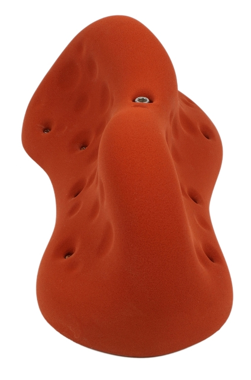Picture of XXXL Neutral Golfus Pinch