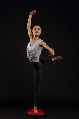 Picture of BALANCE TRAINER