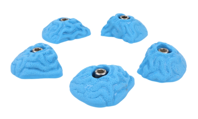 Picture of 5 Small Brain Coral Crimps