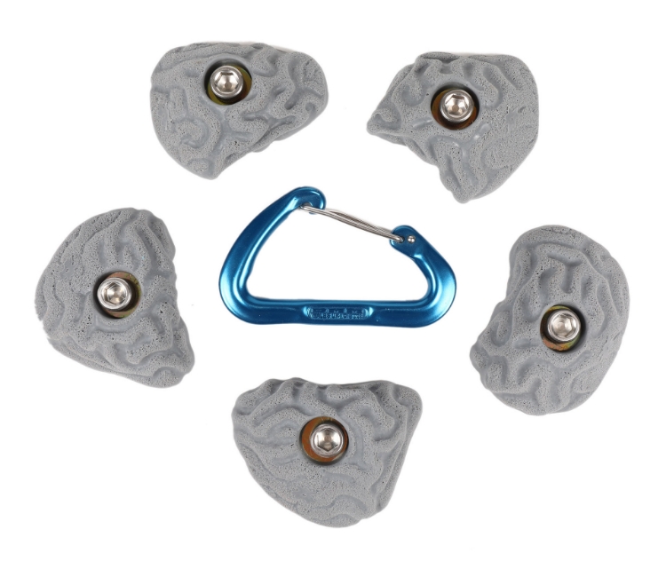 Picture of 5 Small Brain Coral Crimps