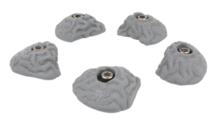 Picture of 5 Small Brain Coral Crimps