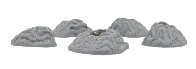 Picture of 5 Small Brain Coral Crimps