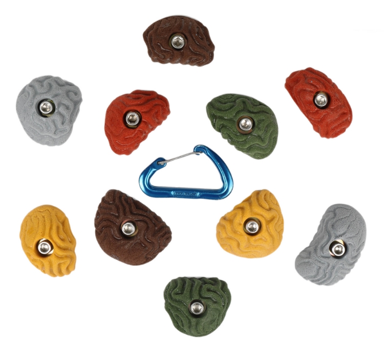 Picture of 10 Brain Coral Vertical Wall Crimps