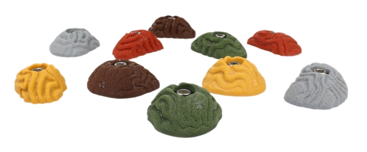 Picture of 10 Brain Coral Vertical Wall Crimps