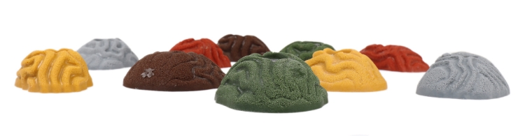 Picture of 10 Brain Coral Vertical Wall Crimps