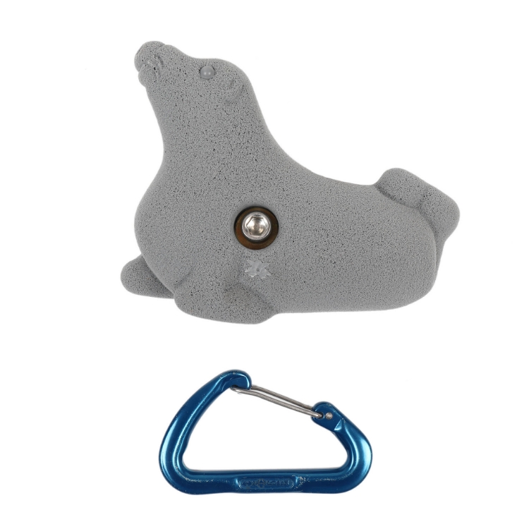 Picture of Seal
