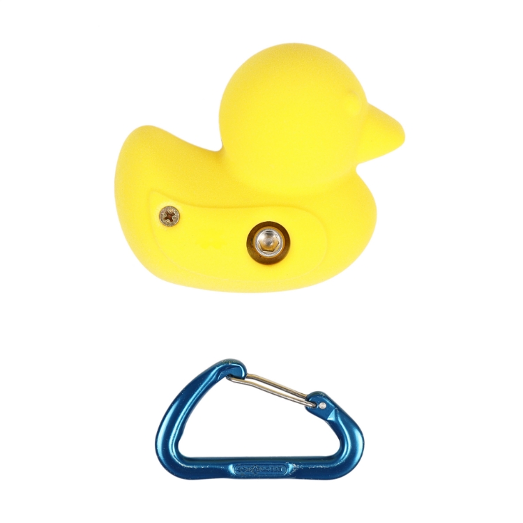 Picture of Ducky