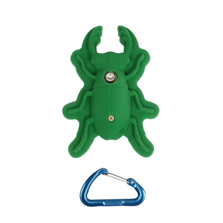 Picture of Stag Beetle