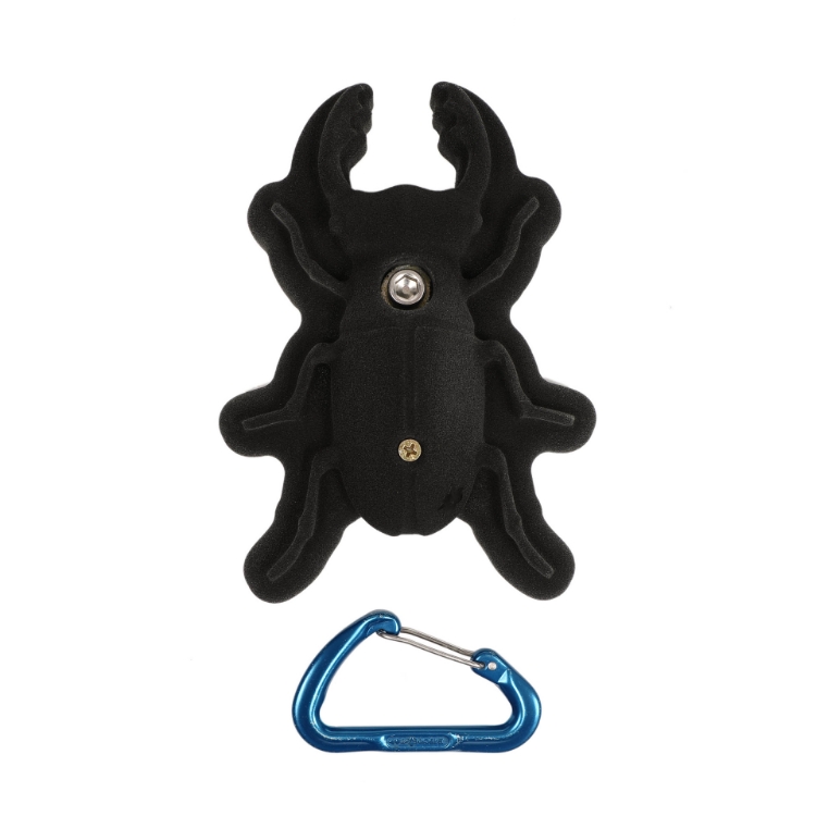 Picture of Stag Beetle
