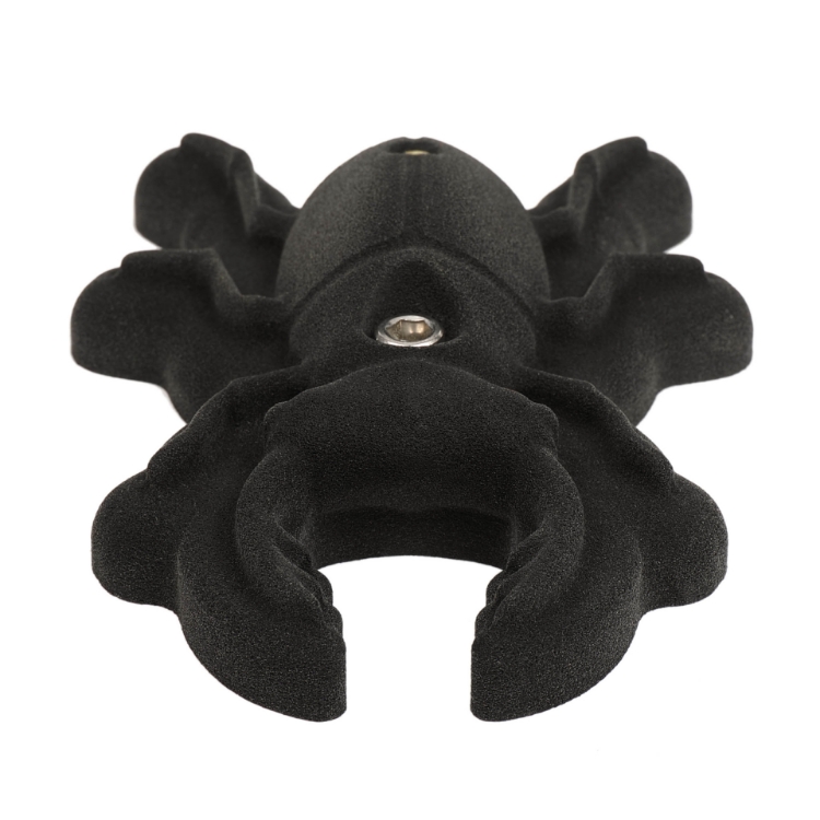 Picture of Stag Beetle