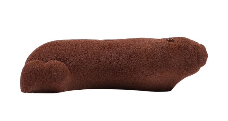 Picture of Seal
