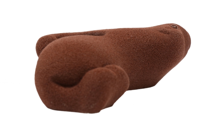 Picture of Seal