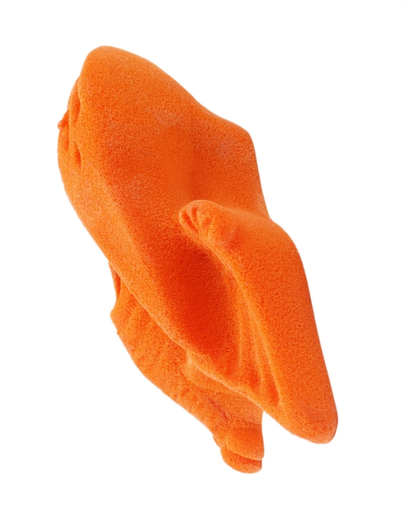 Picture of Pterodactyl