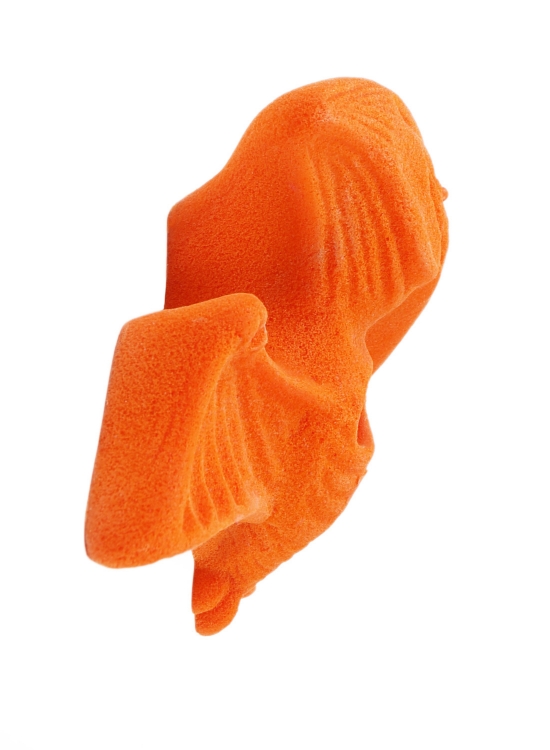 Picture of Pterodactyl