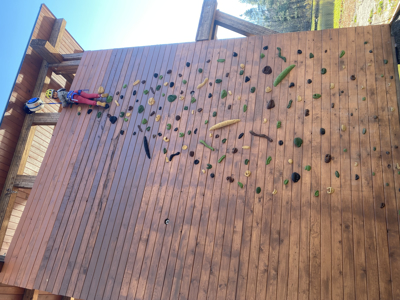 Picture of WOOD WALLS
