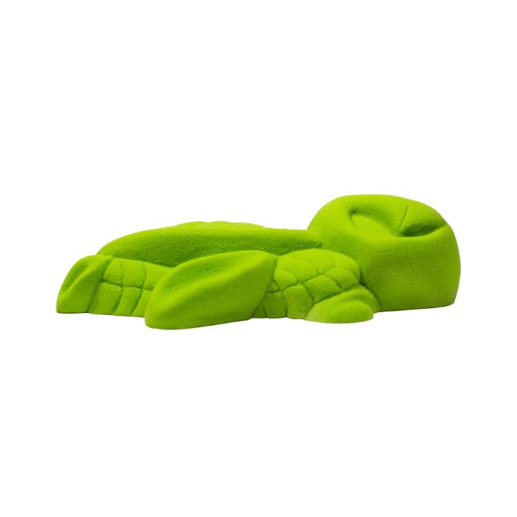 Picture of Turtle