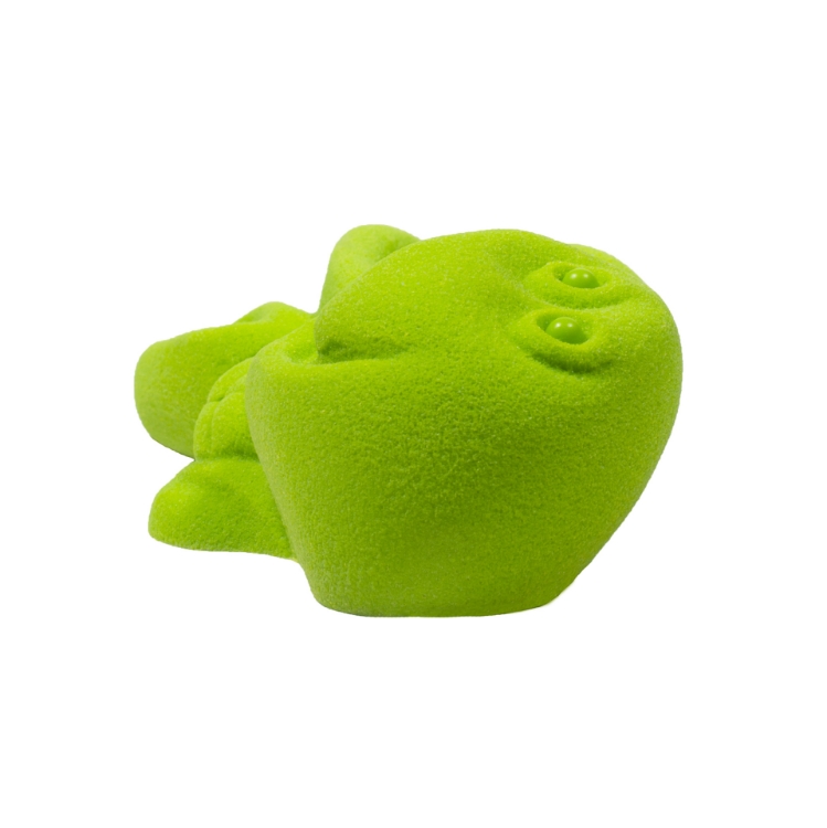 Picture of Turtle