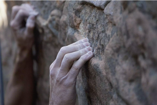 Picture for category Auto Belays, Climbing Techniques, and Safety