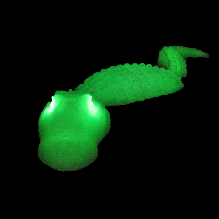 Picture of Alligator