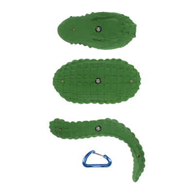 Picture of Alligator