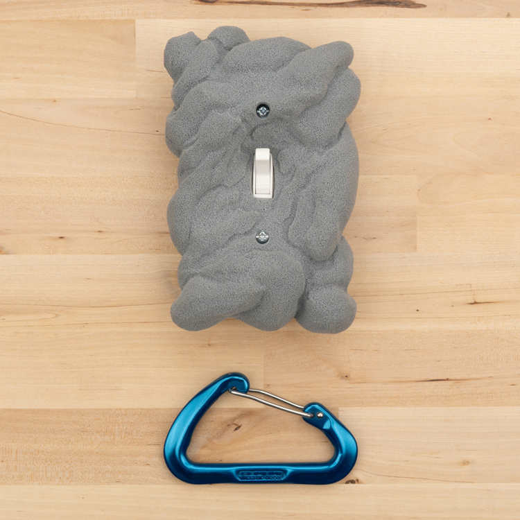 Picture of Rock-Like Single Gang Switch Vanity Cover #7